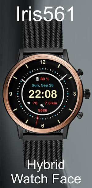 Iris561 Hybrid Watch Face Screenshot 2