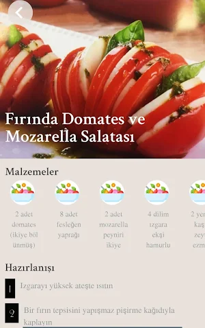 Diyet Yemekleri Tarifleri Screenshot 2