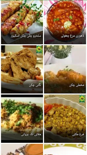 Chef Zakir Recipes Screenshot 1