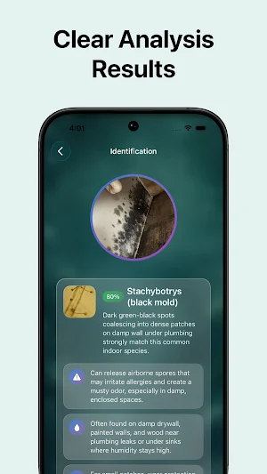 Mold Identifier Screenshot 2