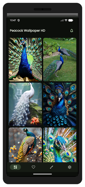 Peacock Wallpaper HD & 4K Screenshot 1