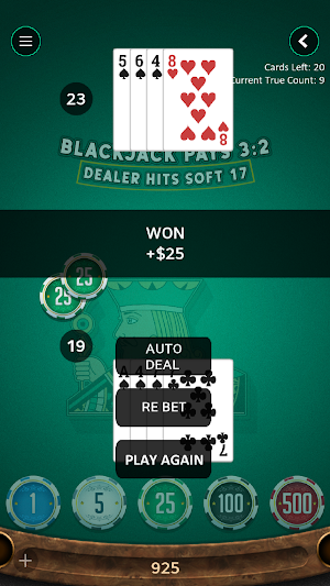 Steve's Blackjack Trainer Pro Screenshot 0