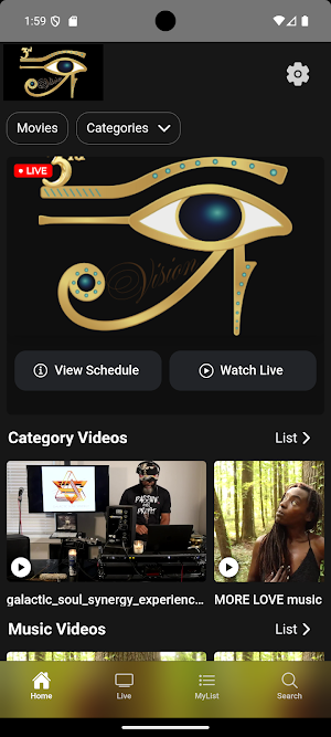 3rd iVision Network Screenshot 0