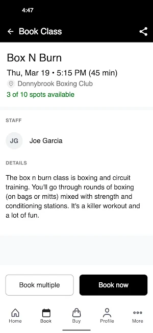 Donnybrook Boxing Club Screenshot 2