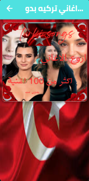 اغاني تركيه : بدون نت Screenshot 0