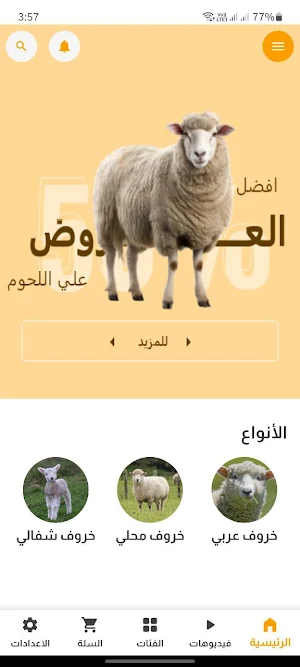 أغنام الربيعة Screenshot 1