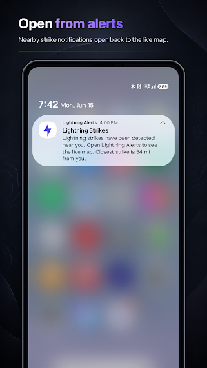 Lightning Alerts: Live Map Screenshot 2