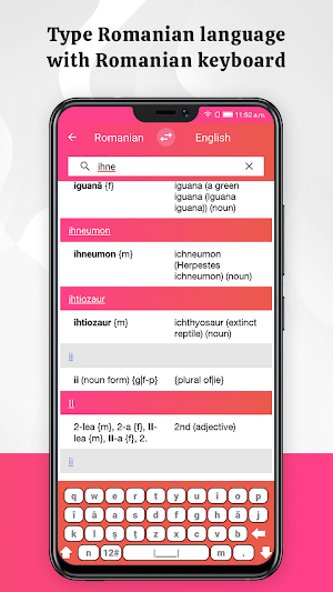 Meaning in Romanian Screenshot 2