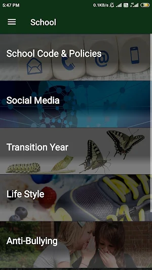 St Aloysius School Cork Screenshot 2