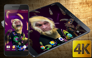 Dance Monkey 4K Live Wallpaper Screenshot 0