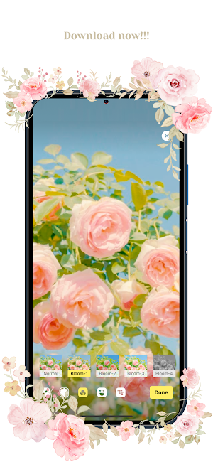Bloom Wallpapers Screenshot 3