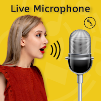 Live Microphone echo effect