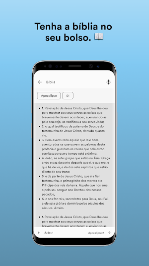 Insejec Botucatu - SP Screenshot 2