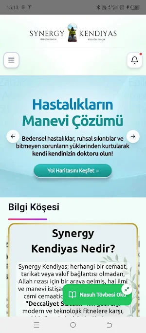 Synergy Kendiyas Screenshot 0