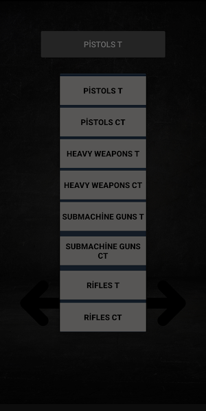 CS 2 Gun Sounds Screenshot 2