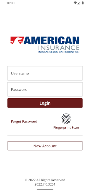 American Insurance Online Screenshot 0