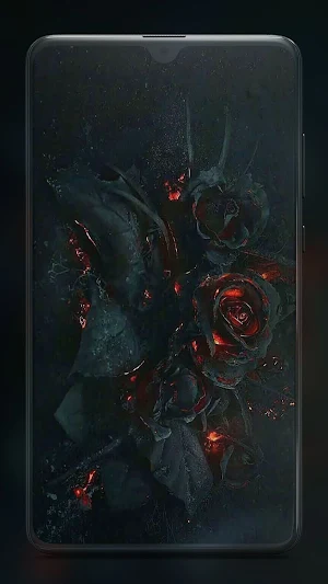 Black Aesthetic Wallpapers HD Screenshot 1
