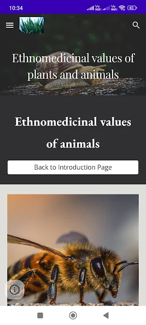 Ethno-medicinal values Screenshot 1