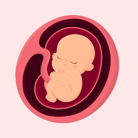 Mommy Womb - Pregnancy Tracker