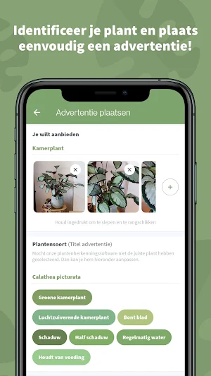Plantigo Screenshot 2