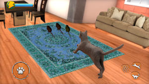 Cat Simulator 2021: Virtual Cat Life 2021 Screenshot 2