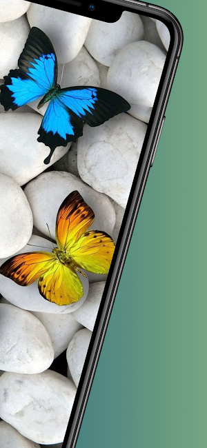 Butterfly wallpaper-4k cool Screenshot 1