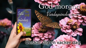 Swedish Good Morning Everyday Screenshot 2