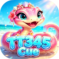 TT345Cue