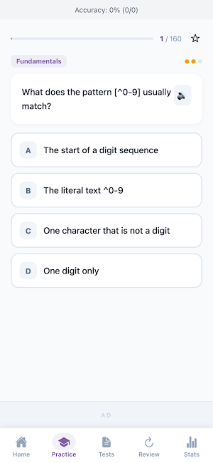 Regular Expressions: Practice Screenshot 1