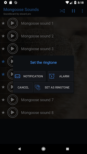 Mongoose sounds ~ Sboard.pro Screenshot 2