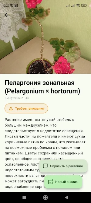 Plant Doctor: анализ растений Screenshot 1