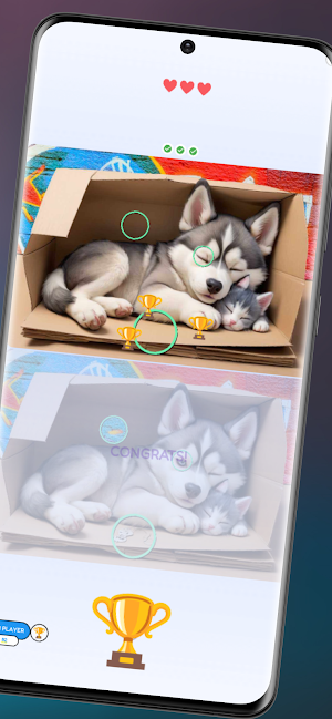 Spot Puzzle Quest Screenshot 3