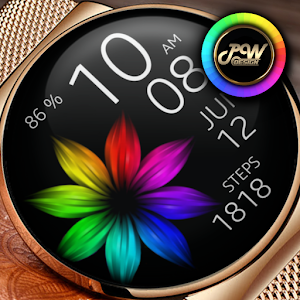 PWW04 - Ladies Digi Watch Face Screenshot 2