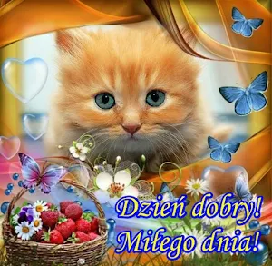 Dzień dobry Miłego dnia Obrazy Screenshot 3