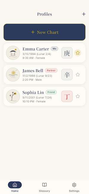 Four Pillars - BaZi Chart Screenshot 0