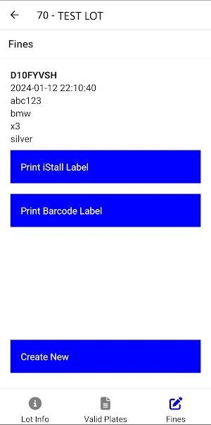iStall Parking Patrol Screenshot 1
