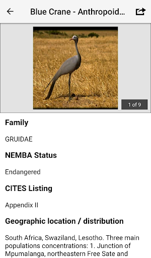 IDentifyIt Species Screenshot 3