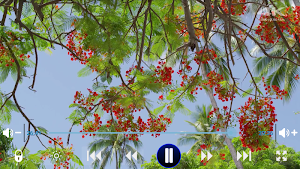 LP Player - плеер LP Screenshot 2