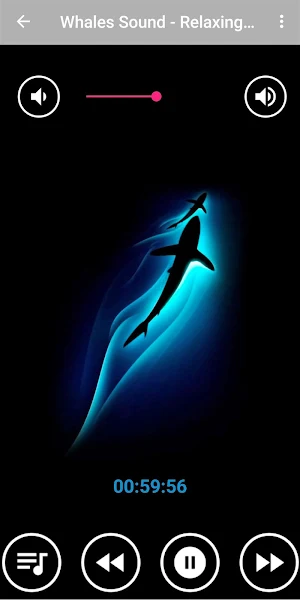 Underwater Whale Sounds for Sleep Screenshot 3