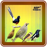 Kicau Burung Lengkap Offline