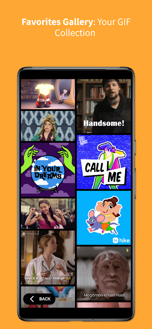GIFGrab Screenshot 2