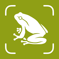 Frog Identifier - Frogium