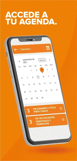 CEUX App Screenshot 3
