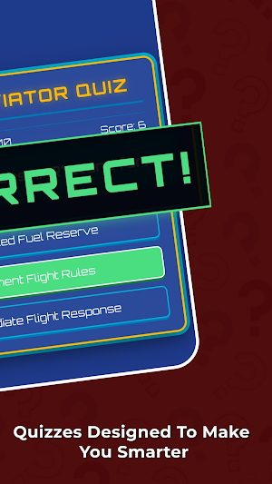 Aviation Quiz Game Screenshot 2