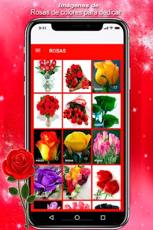 Rosas y flores para compartir Screenshot 2