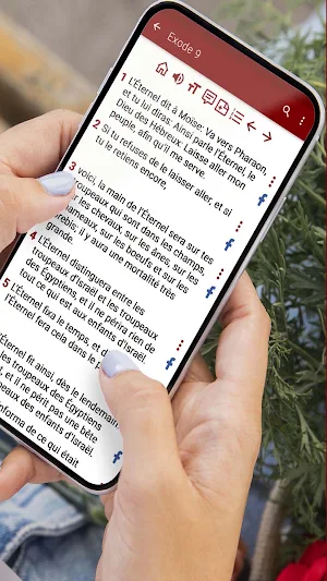 Bible Louis Segond Screenshot 1
