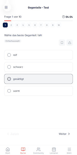 Studierfähigkeitstest Screenshot 2