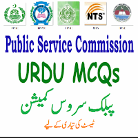 Urdu MCQs Solve