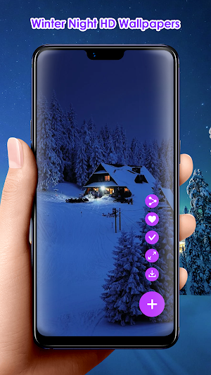 Winter Night HD Wallpapers Screenshot 1