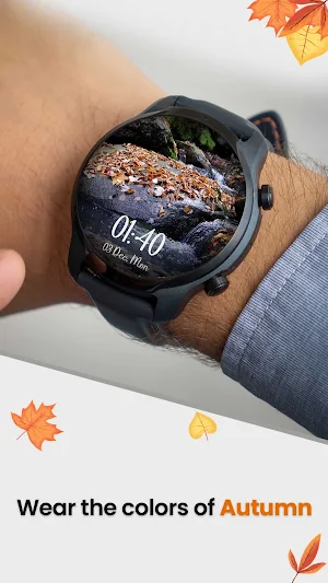 Autumn Watchface: Forest Scene Screenshot 3